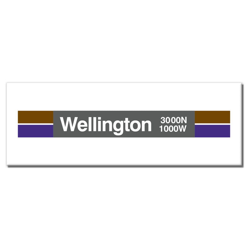 Wellington Magnet