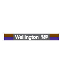 Wellington Magnet - CTAGifts.com