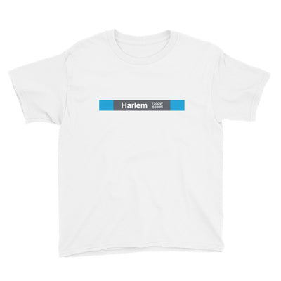 Harlem (Blue 5600N 7200W) Youth T-Shirt - CTAGifts.com