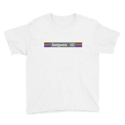 Sedgwick Youth T-Shirt - CTAGifts.com