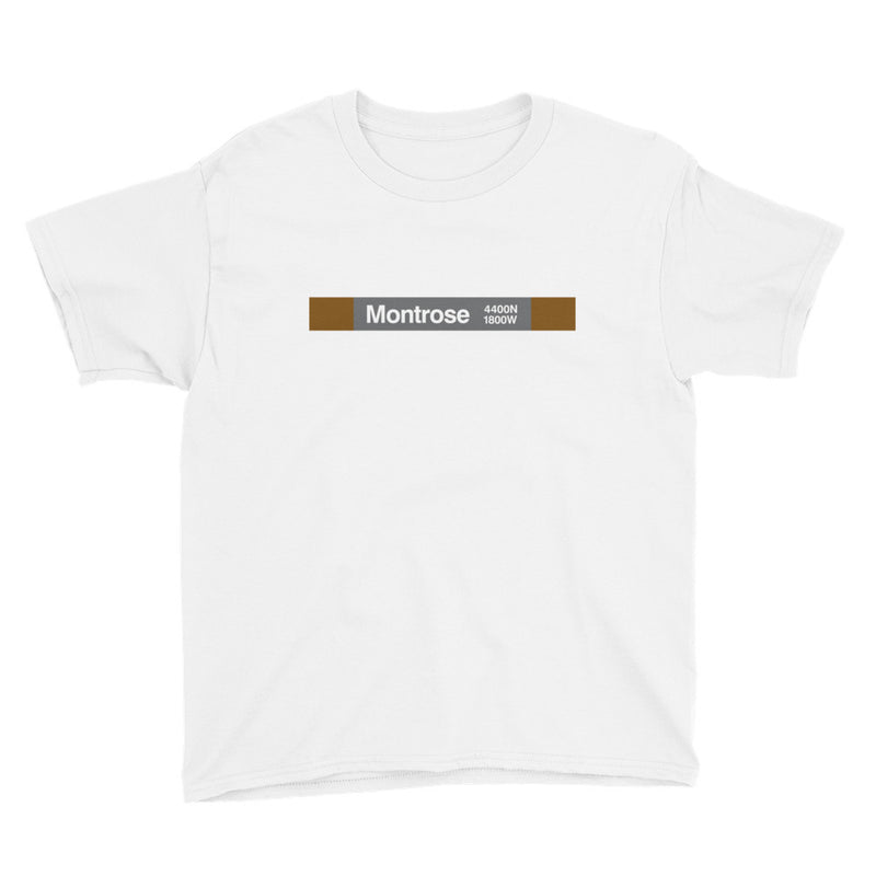 Montrose (Brown) Youth T-Shirt - CTAGifts.com