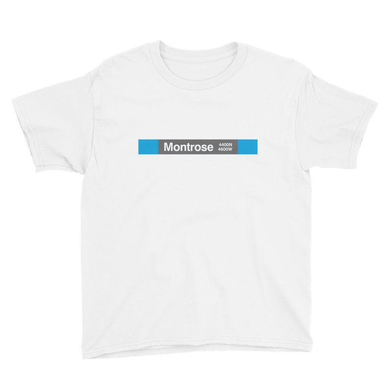 Montrose (Blue) Youth T-Shirt - CTAGifts.com
